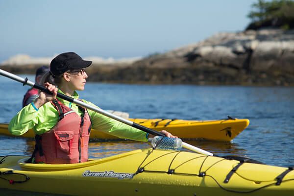 Halifax Sea Kayaking Tour